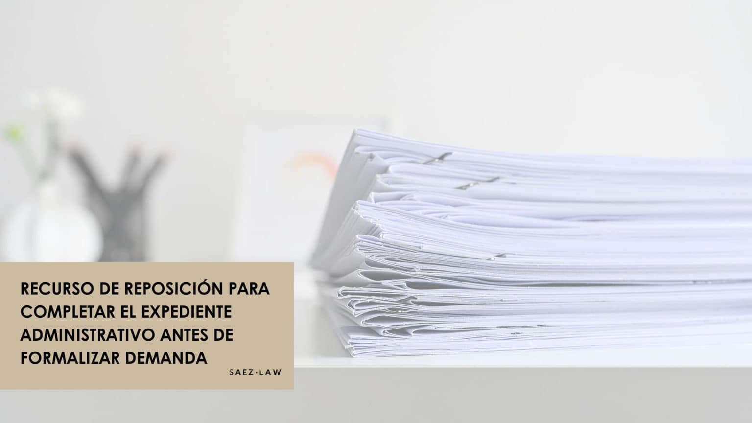 Recurso de reposición para completar el expediente administrativo