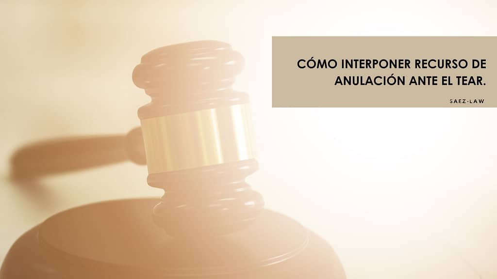 interponer recurso de anulación