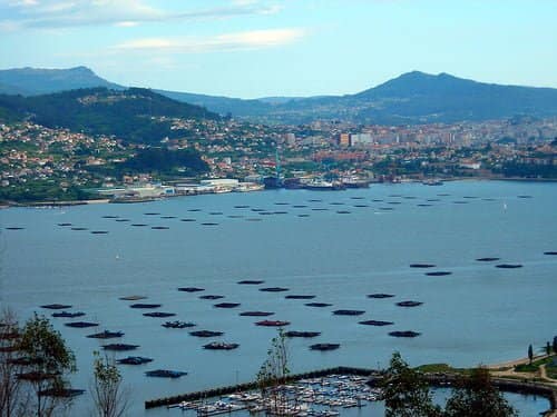 El IVA de la venta de bateas que exige Hacienda