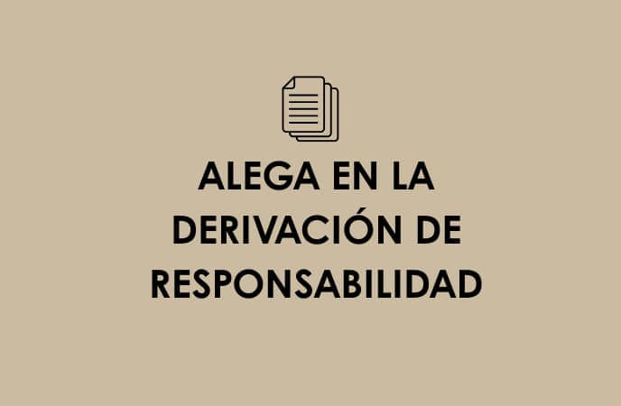 ALEGA EN LA DERIVACIÓN DE RESPONSABILIDAD